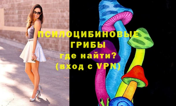 прущие крисы Армянск