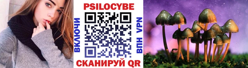 цены   Кизел  Галлюциногенные грибы MAGIC MUSHROOMS 